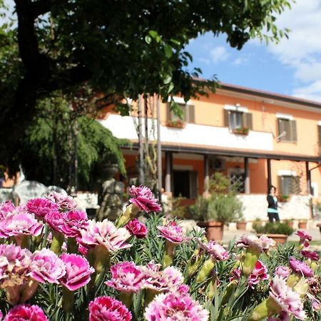 B&B Casale Shanti Piedimonte San Germano Kültér fotó