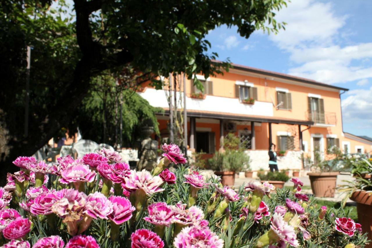 B&B Casale Shanti Piedimonte San Germano Kültér fotó